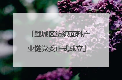 鲤城区纺织面料产业链党委正式成立