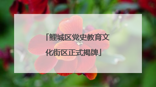 鲤城区党史教育文化街区正式揭牌