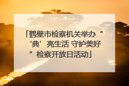 鹤壁市检察机关举办“‘典’亮生活 守护美好”检察开放日活动