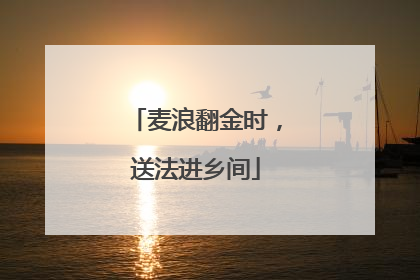 麦浪翻金时，送法进乡间