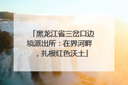 黑龙江省三岔口边境派出所：在界河畔，扎根红色沃土