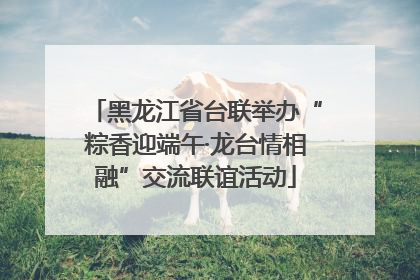 黑龙江省台联举办“粽香迎端午·龙台情相融”交流联谊活动