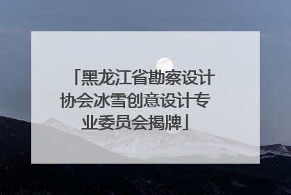 黑龙江省勘察设计协会冰雪创意设计专业委员会揭牌
