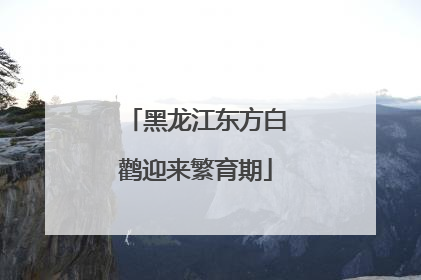 黑龙江东方白鹳迎来繁育期