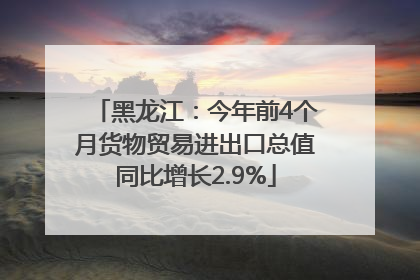 黑龙江：今年前4个月货物贸易进出口总值同比增长2.9%