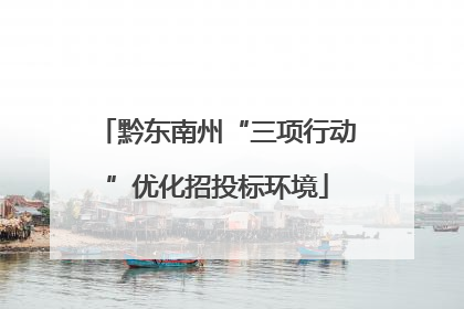 黔东南州“三项行动”优化招投标环境