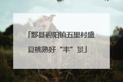 黟县碧阳镇五里村盛夏桃熟好“丰”景