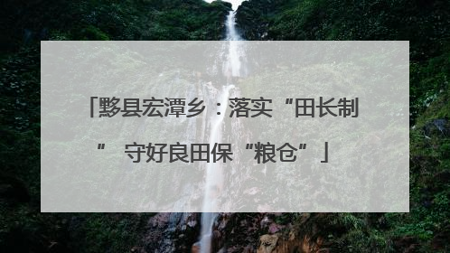黟县宏潭乡：落实“田长制” 守好良田保“粮仓”