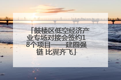 鼓楼区低空经济产业专场对接会签约18个项目——建圈强链 比翼齐飞
