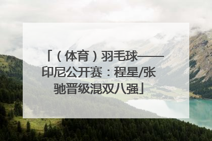 （体育）羽毛球——印尼公开赛：程星/张驰晋级混双八强