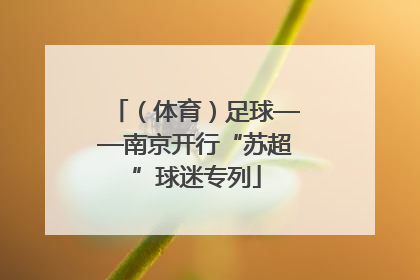 （体育）足球——南京开行“苏超”球迷专列