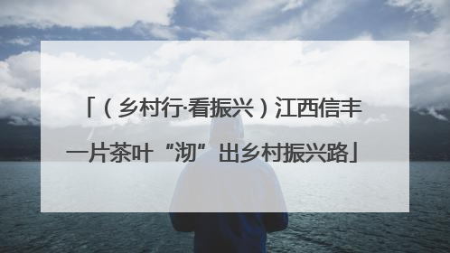 （乡村行·看振兴）江西信丰一片茶叶“沏”出乡村振兴路
