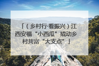 （乡村行·看振兴）江西安福“小西瓜”撬动乡村共富“大支点”