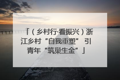 （乡村行·看振兴）浙江乡村“自我重塑” 引青年“筑巢生金”