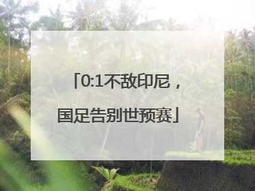 0:1不敌印尼，国足告别世预赛