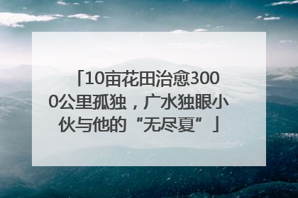 10亩花田治愈3000公里孤独，广水独眼小伙与他的“无尽夏”