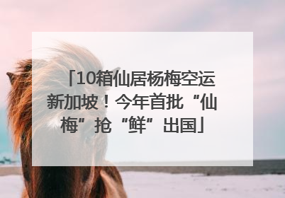 10箱仙居杨梅空运新加坡！今年首批“仙梅”抢“鲜”出国