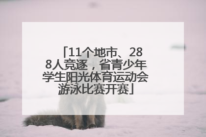 11个地市、288人竞逐，省青少年学生阳光体育运动会游泳比赛开赛