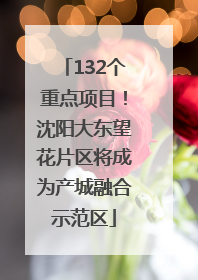 132个重点项目！沈阳大东望花片区将成为产城融合示范区