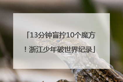 13分钟盲拧10个魔方！浙江少年破世界纪录