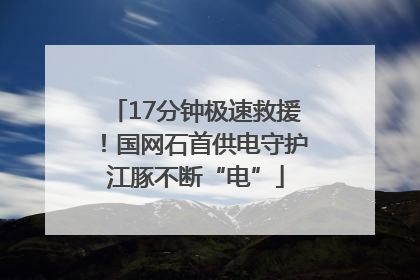 17分钟极速救援！国网石首供电守护江豚不断“电”