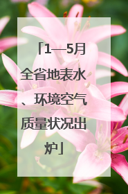 1—5月全省地表水、环境空气质量状况出炉