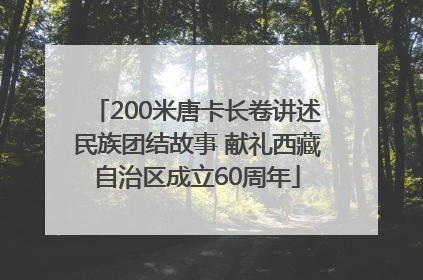 200米唐卡长卷讲述民族团结故事 献礼西藏自治区成立60周年