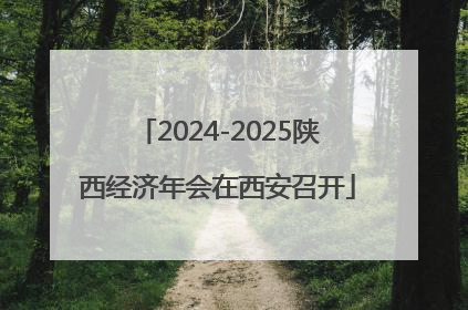 2024-2025陕西经济年会在西安召开