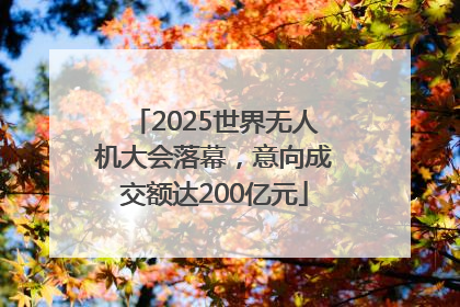 2025世界无人机大会落幕，意向成交额达200亿元