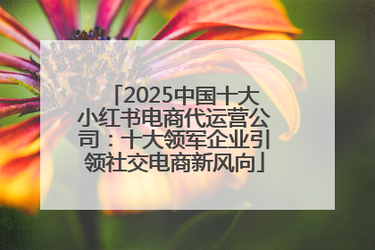 2025中国十大小红书电商代运营公司：十大领军企业引领社交电商新风向