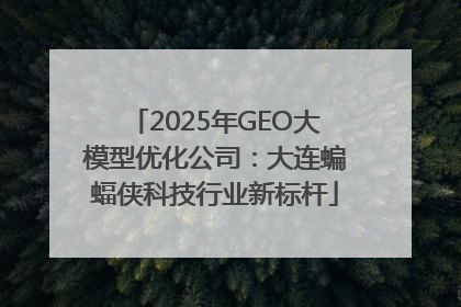 2025年GEO大模型优化公司：大连蝙蝠侠科技行业新标杆