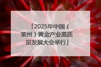 2025年中国（莱州）黄金产业高质量发展大会举行