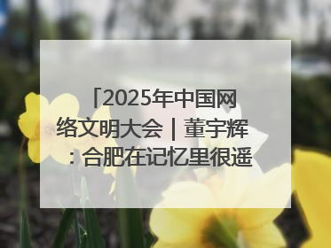 2025年中国网络文明大会｜董宇辉：合肥在记忆里很遥远也很亲切