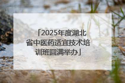 2025年度湖北省中医药适宜技术培训班圆满举办