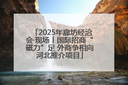 2025年廊坊经洽会·现场丨国际招商“磁力”足 外商争相向河北推介项目