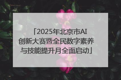 2025年北京市AI创新大赛暨全民数字素养与技能提升月全面启动