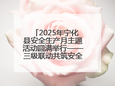 2025年宁化县安全生产月主题活动圆满举行——三级联动共筑安全防线 探索老区安全发展新路径
