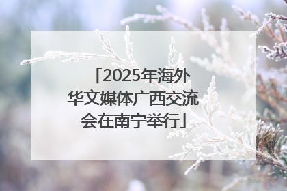 2025年海外华文媒体广西交流会在南宁举行