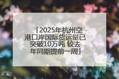 2025年杭州空港口岸国际货运量已突破10万吨 较去年同期提前一周