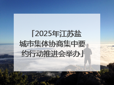 2025年江苏盐城市集体协商集中要约行动推进会举办