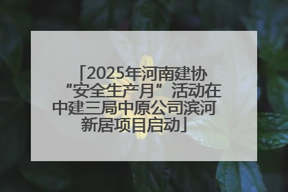 2025年河南建协“安全生产月”活动在中建三局中原公司滨河新居项目启动