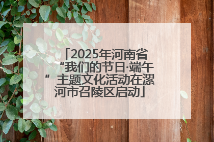 2025年河南省“我们的节日·端午”主题文化活动在漯河市召陵区启动