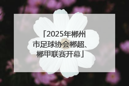 2025年郴州市足球协会郴超、郴甲联赛开幕