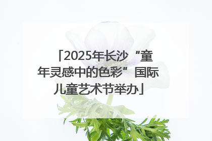 2025年长沙“童年灵感中的色彩”国际儿童艺术节举办