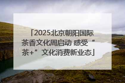 2025北京朝阳国际茶香文化周启动 感受“茶+”文化消费新业态