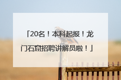 20名！本科起报！龙门石窟招聘讲解员啦！