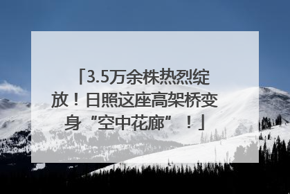 3.5万余株热烈绽放！日照这座高架桥变身“空中花廊”！