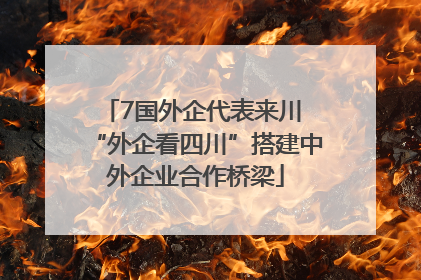 7国外企代表来川 “外企看四川”搭建中外企业合作桥梁