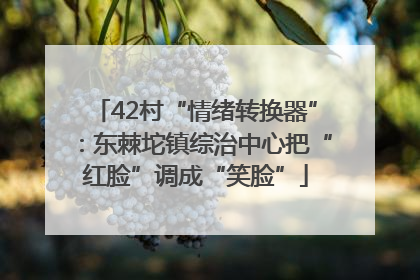 42村“情绪转换器”：东棘坨镇综治中心把“红脸”调成“笑脸”