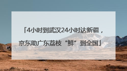 4小时到武汉24小时达新疆，京东助广东荔枝“鲜”到全国